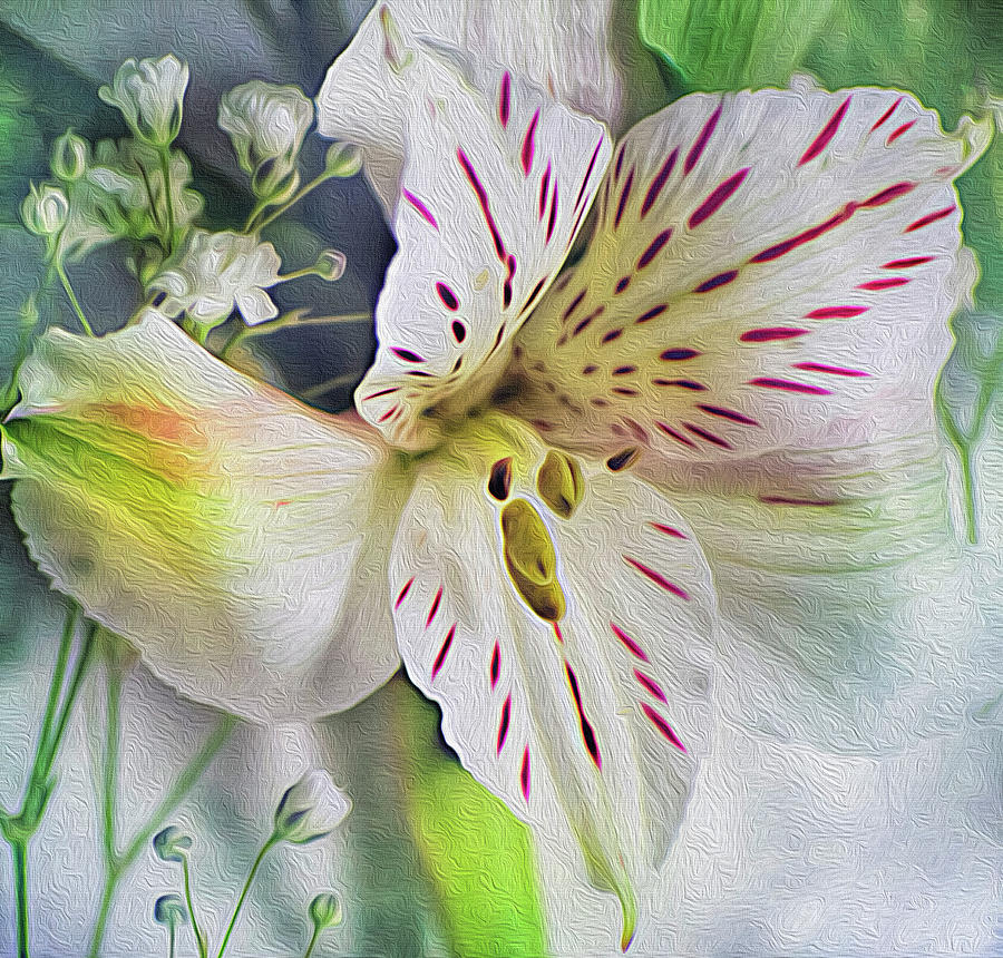 Lilium Centerfold Flower in Digital Oils Photograph by Cordia Murphy
