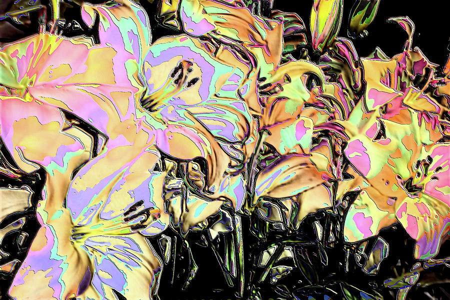Lillies #3 Digital Art by Vickie G Buccini