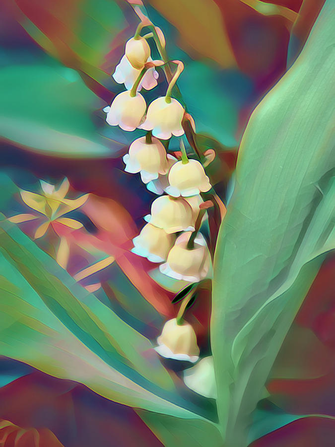 Lilly Of The Valley Mixed Media