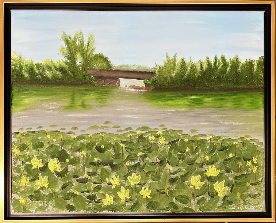 Lilly Pads in Bloom Painting by Aimee Carlson