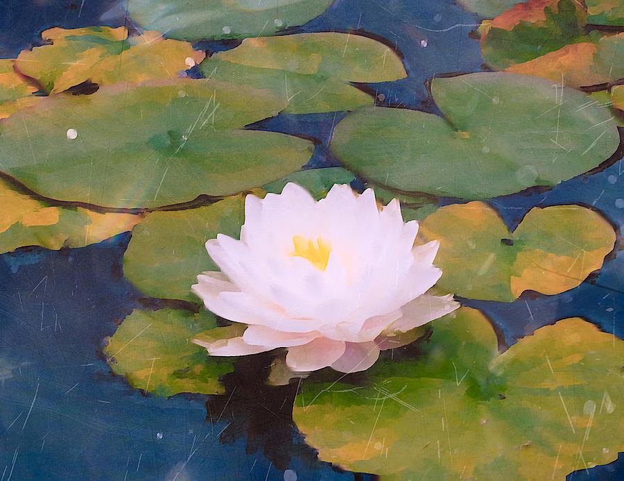Lilies Pads Water Reflections Digital Art by Jeremy Lyman