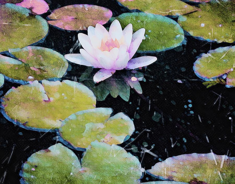 Lilies Pads Third Water Reflections Digital Art by Jeremy Lyman