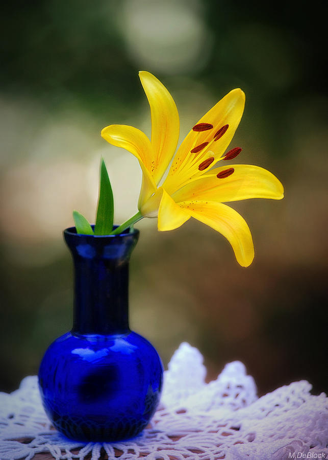 Lily and Cobalt Still Life Photograph by Marilyn DeBlock