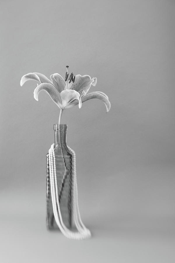 Lily and Pearls in Black and White Photograph by Tina Horne Lily and Pearls in Black and White Photograph by Tina Horne