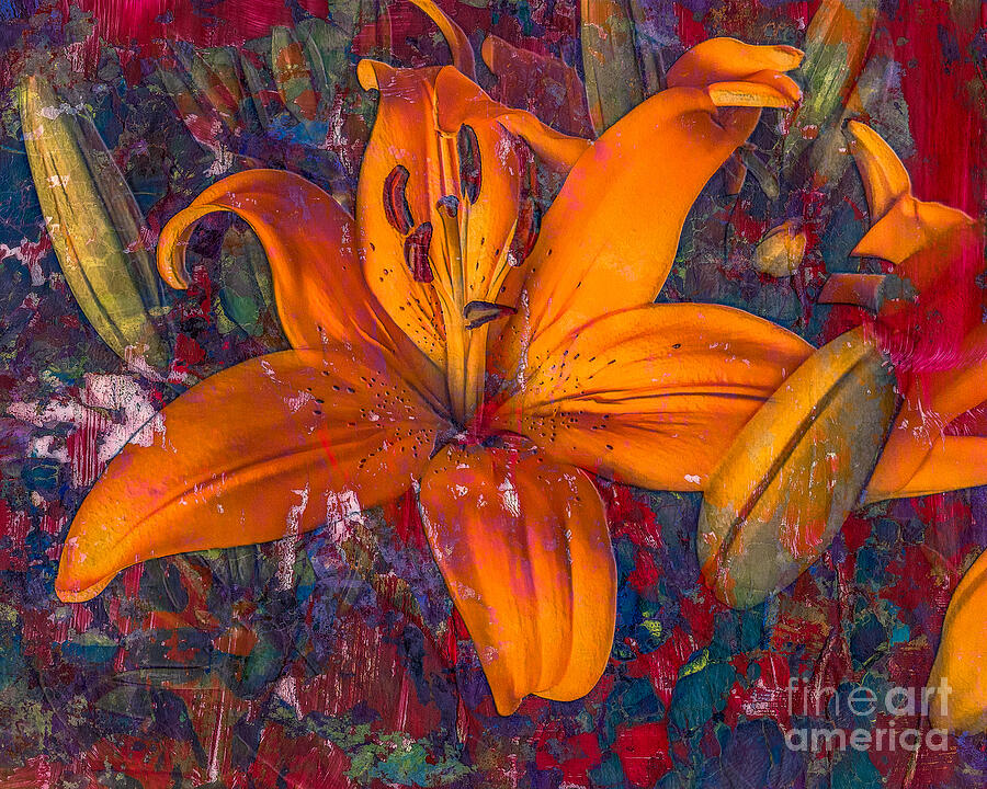 Lily Art Leatherwood Digital Art by Laura L Leatherwood Lily Art Leatherwood Digital Art by Laura L Leatherwood