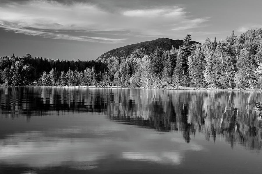 Lily Bay Maine Reflections Black And White Photograph by Dan Sproul