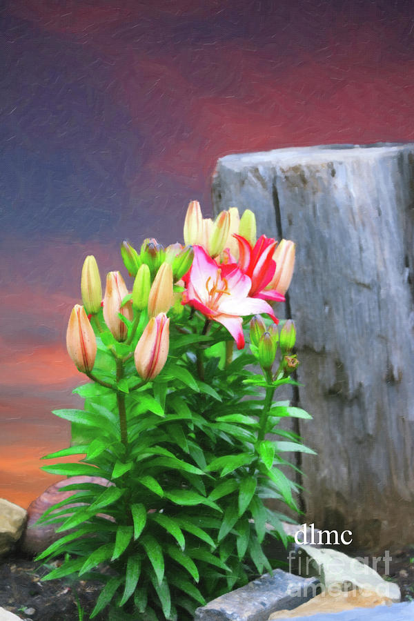 Lily Bunch Painting by Donna L Munro