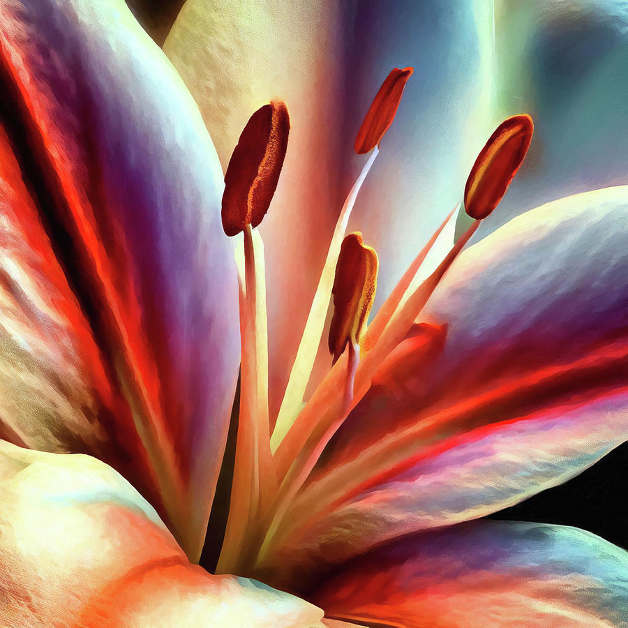Lily Flower Macro Digital Art by Jill Nightingale