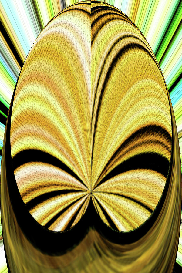 Lily Jacket Digital Art by Tom Janca