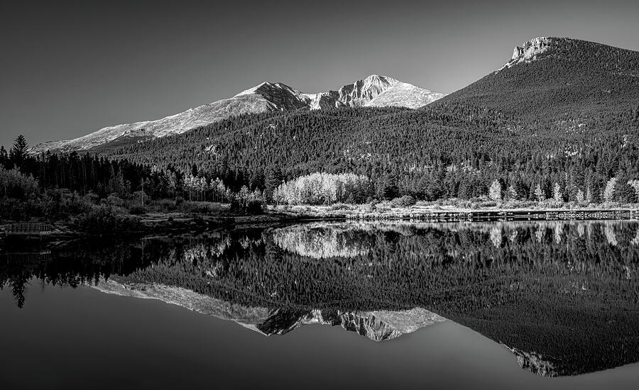 Lily Lake Black And White Reflection Photograph by Dan Sproul Lily Lake Black And White Reflection Photograph by Dan Sproul