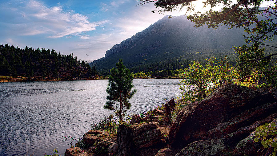 Lily Lake Colorado Photograph by G Lamar Yancy