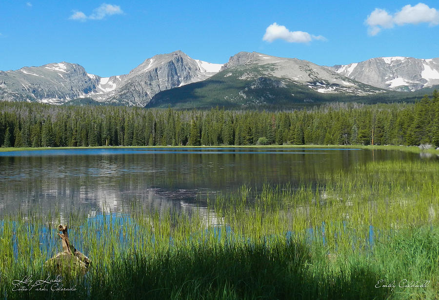 Mountain Photograph - Lily Lake by Emily Caldwell
