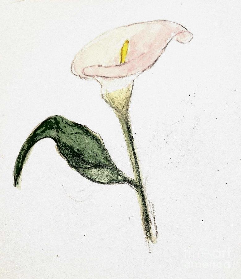 Lily Painting by Margaret Welsh Willowsilk