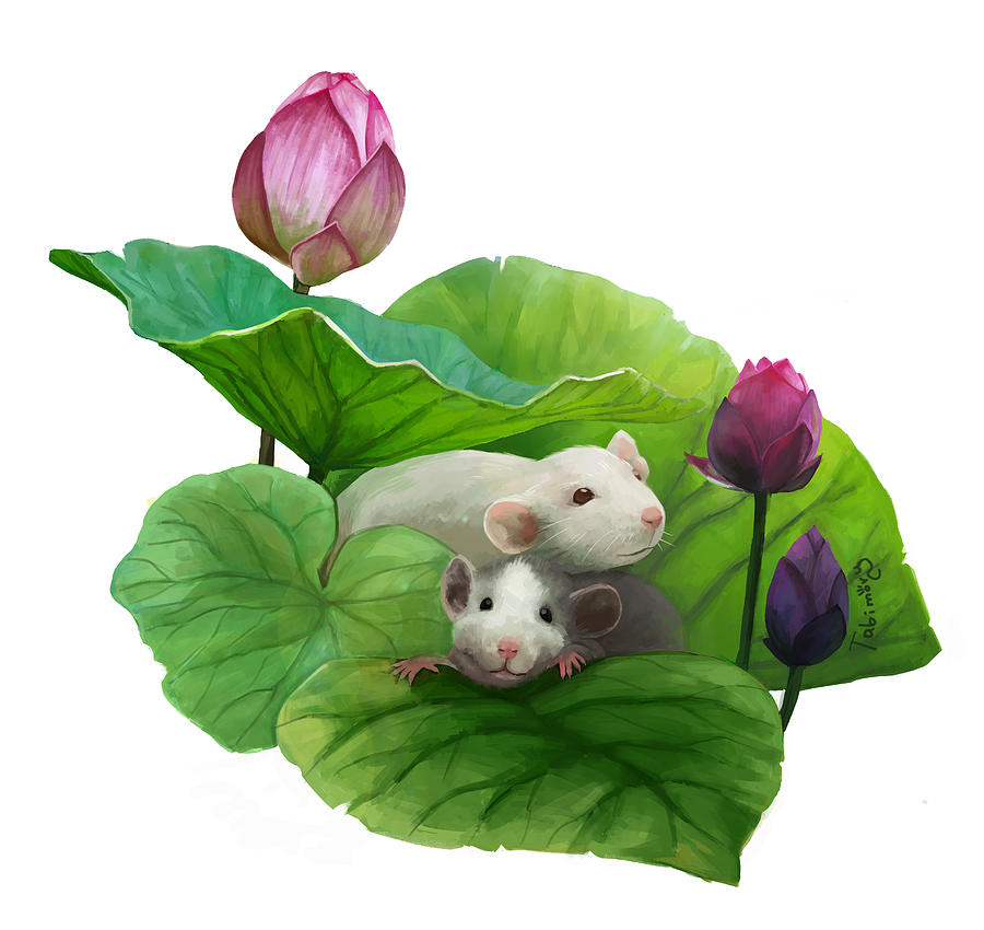 Lily Mouse Digital Art by Tabimory Digital | Fine Art America