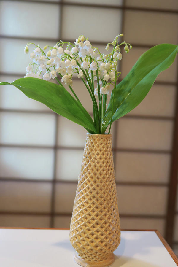 Lily of the Valley Bouquet Photograph by Shirley Heyn