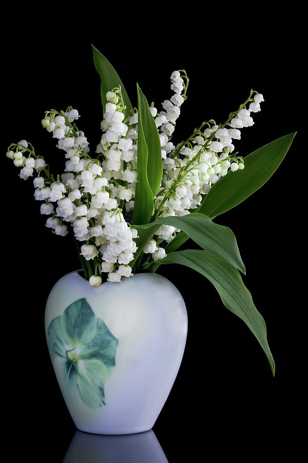 Lily of the Valley Flowers in a Vase Photograph by Elvira Peretsman