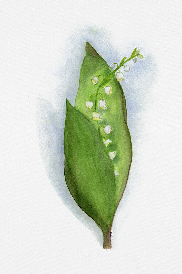 Lily of the Valley, May Birth Flower Painting by Elizabeth Reich