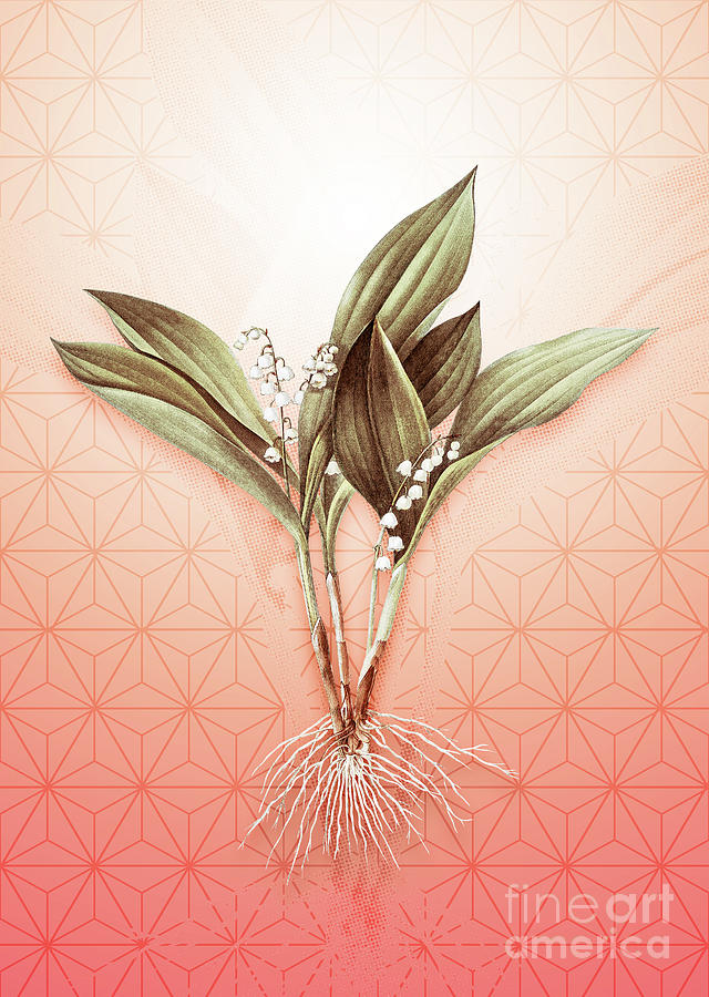 Lily Of The Valley Vintage Botanical In Peach Fuzz Asanoha Star Pattern N.0213 Painting