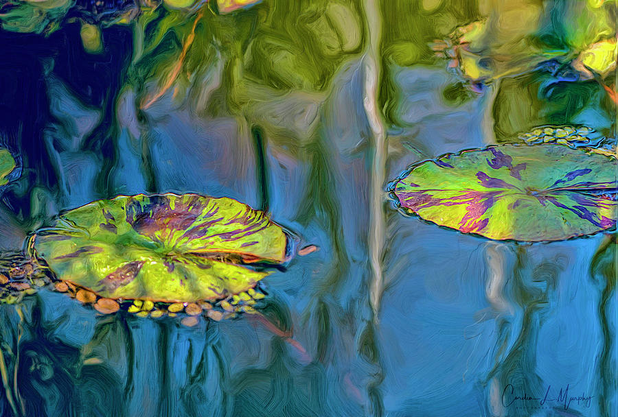 Lily Pads Photograph by Cordia Murphy