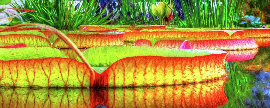 Lily Pads In Color Photograph