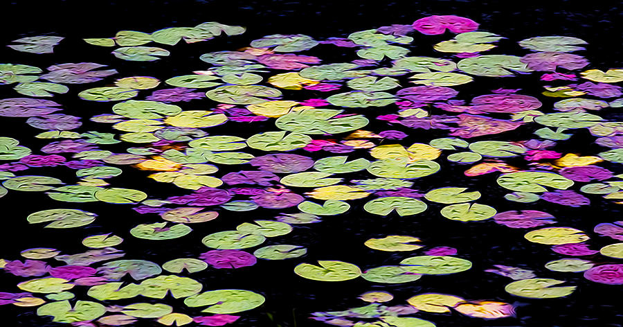 Lily Pads OP Photograph by Jim Dollar
