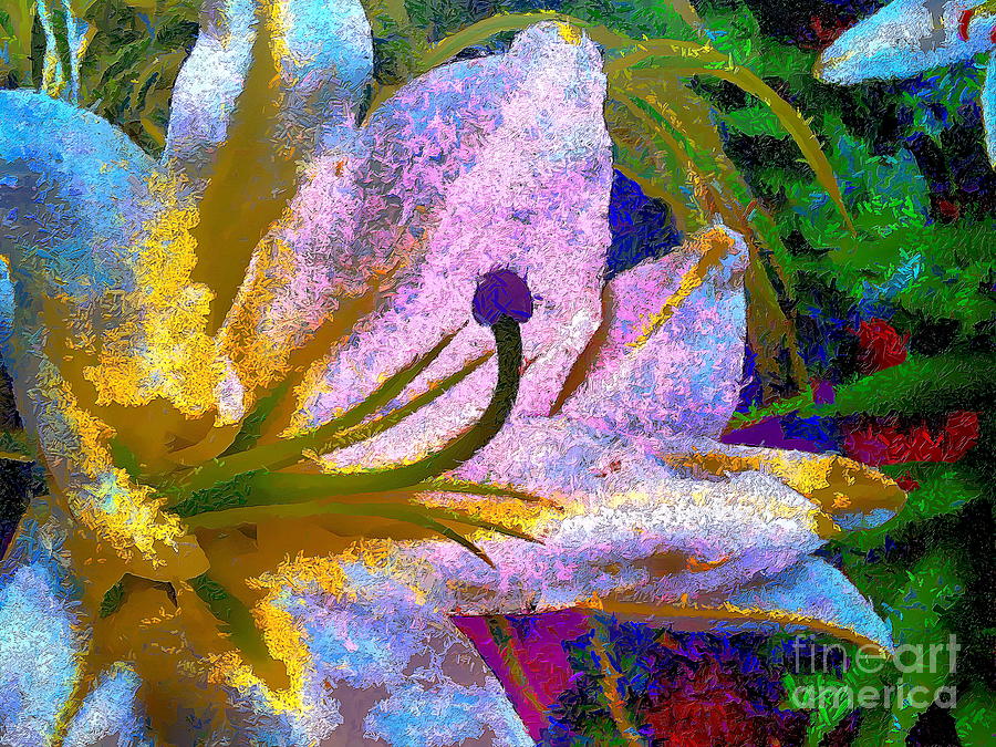 Lily Painted with Llight Photograph by Sea Change Vibes