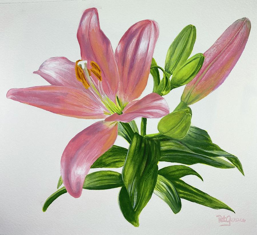 Lily Painting by Pat Gerace - Fine Art America