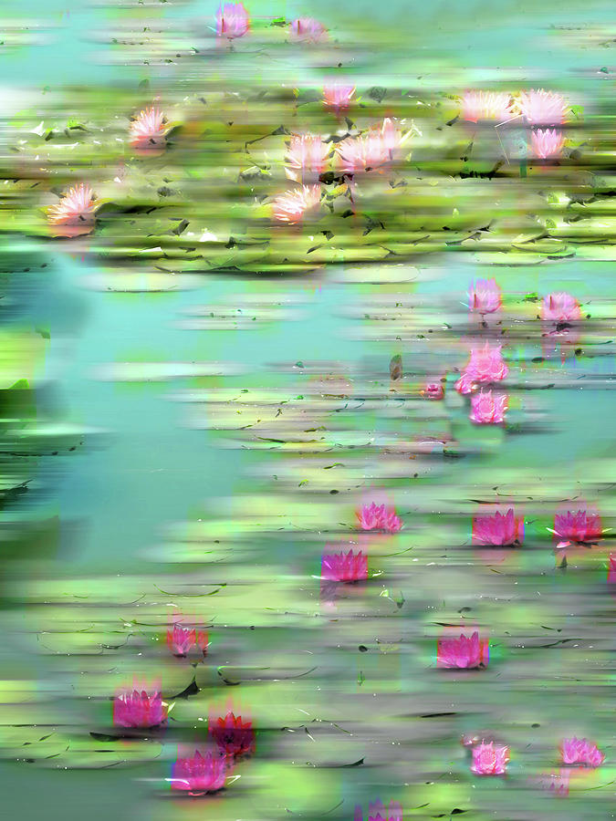 Lily Pond Impressions Photograph by Jessica Jenney