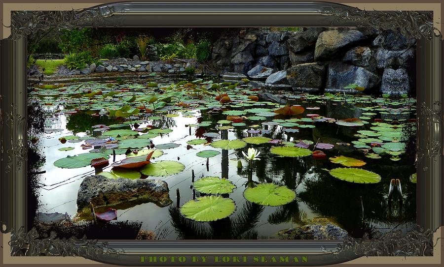 Lily Photograph - Lily Pond in Puuanahulu by Lori Seaman