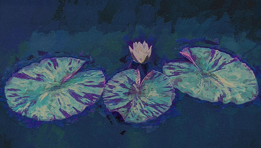 Lily pond Under The Stars Digital Art by Deborah League