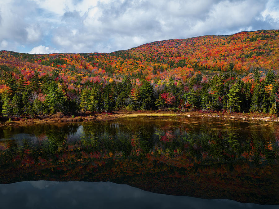Fall Photograph - Lily Pond White Mountains NH Fall  by Susan Candelario