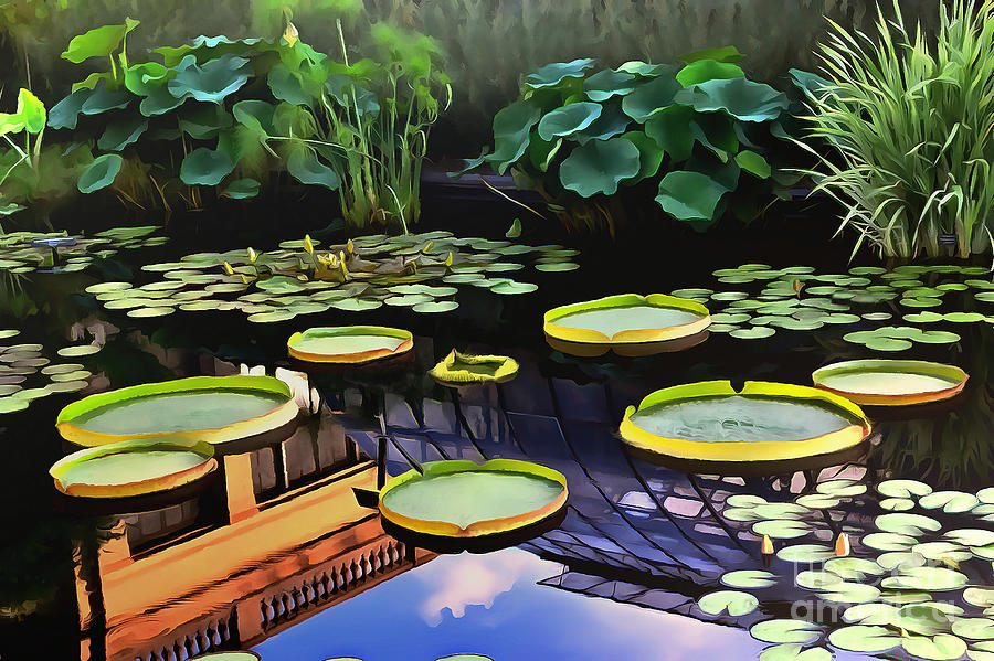 Lily Pond with Reflection Photograph by Sea Change Vibes
