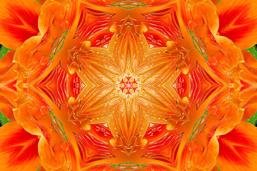 Lily - Silly Lily - Variation - Only A Fine Day Digital Art