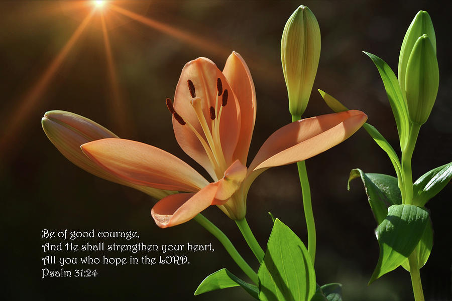 Lily Sunshine Strength and Scripture Digital Art by Gaby Ethington