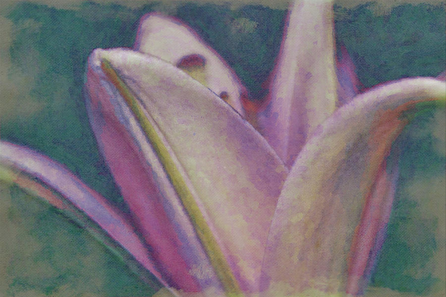 Lily Watercolor Style Abstract Digital Art