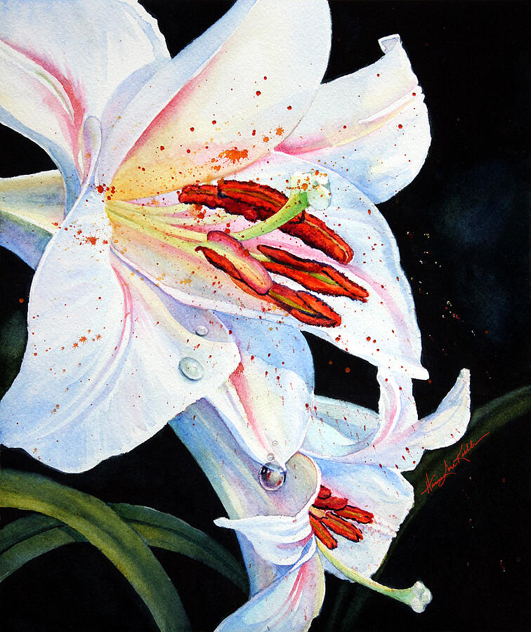 Lily White Painting by Hanne Lore Koehler