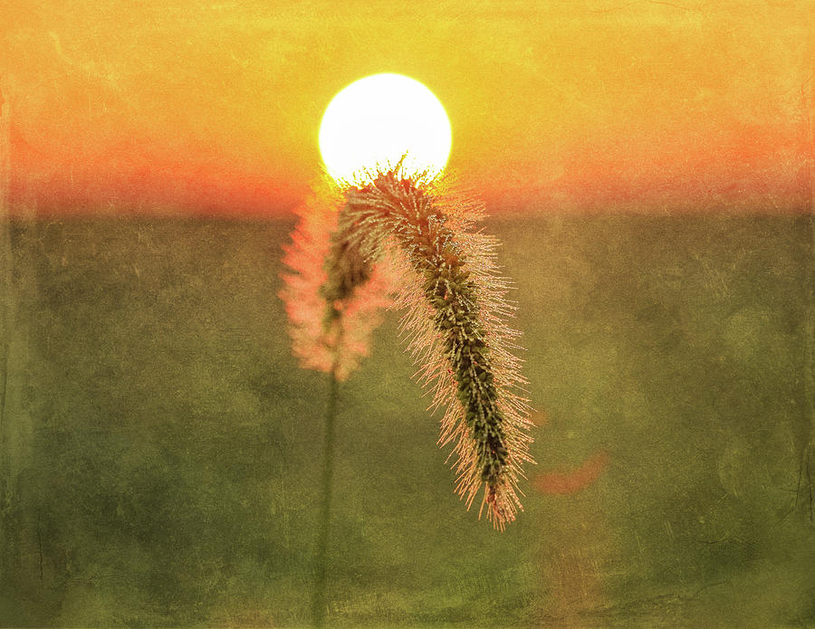 Lima Ohio Country Sunrise Textured Photograph by Dan Sproul