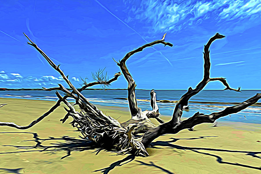 Limbs and Shadows Expressionism Driftwood Beach Photograph by Bill Swartwout