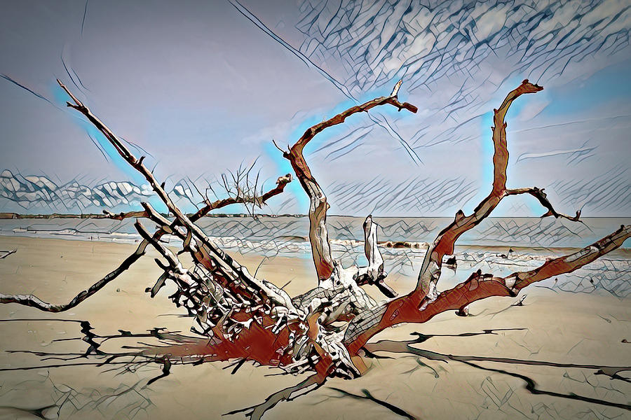 Limbs and Shadows w Burnt Edges on Driftwood Beach Photograph by Bill Swartwout