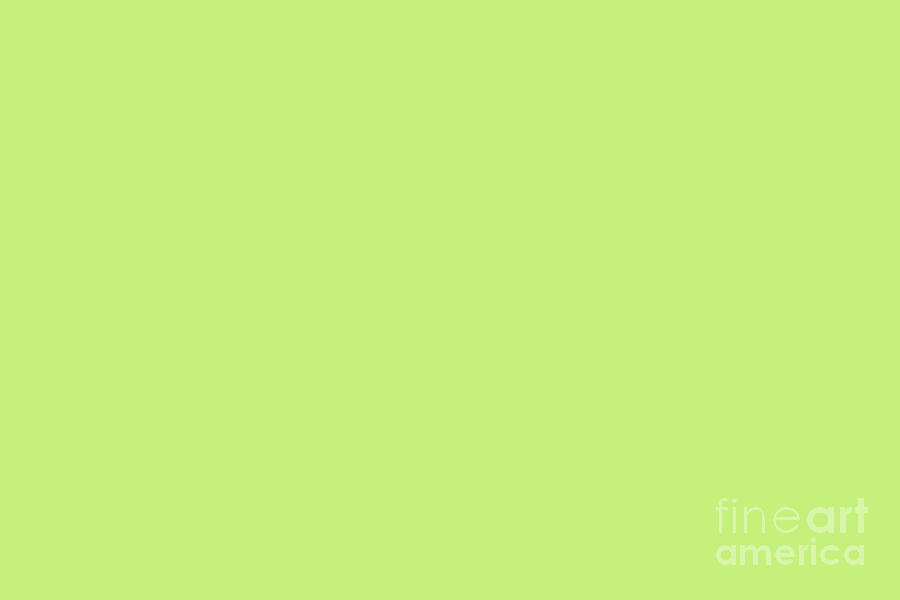 Lime Green Solid Color Pairs Sharp Green 13 0535 Tcx Lfw Autumn Winter 2023 2024 Color Trends Simply Solids 