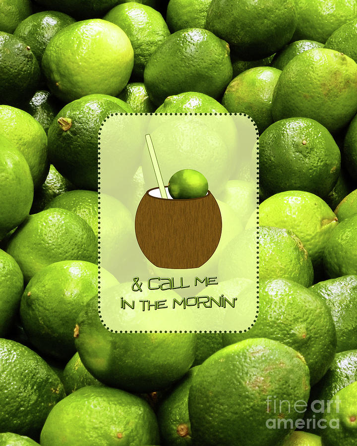 Coconut Digital Art - Lime In The Coconut by Two Hivelys