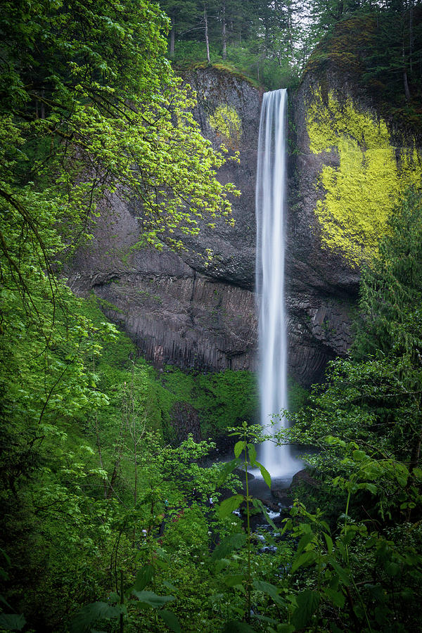 Pacific Northwest Photograph - Limelight Waterfall by Stephanie Hobbs