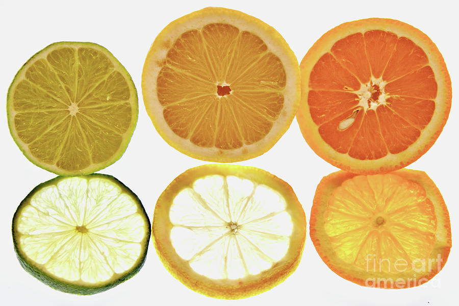 Limes Lemons Oranges Photograph by Baggieoldboy