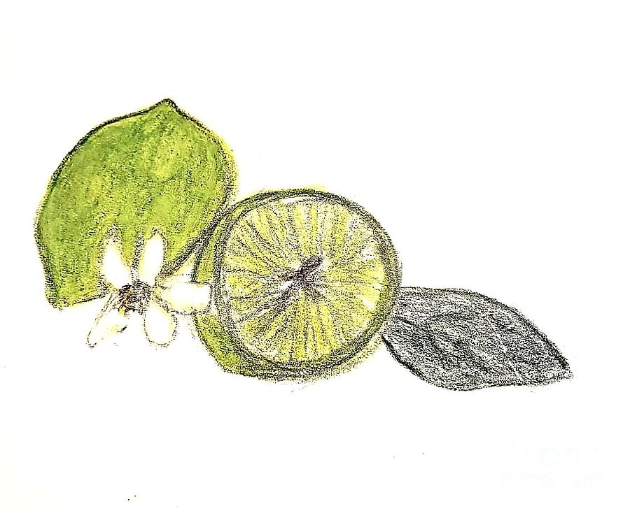 Limes  Painting by Margaret Welsh Willowsilk