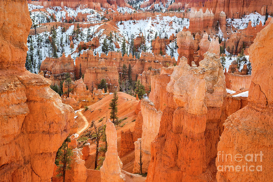 Limestone formations in Bryce Canyon, Utah Photograph by Julia Hiebaum
