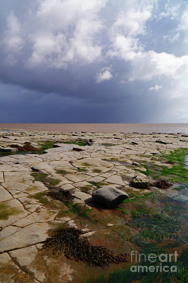Limestone pavement and seaweeds on the South Wales coast Photograph by James Brunker