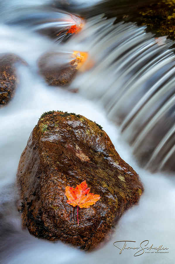 SEMI-ABSTRACT waterfalls and stream photography -LIMITED EDITION of 150  Photograph by Photos By Thom