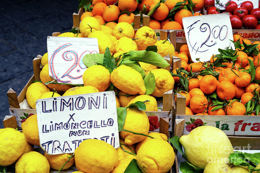Limoni Sorrento Italy Photograph by John Rizzuto