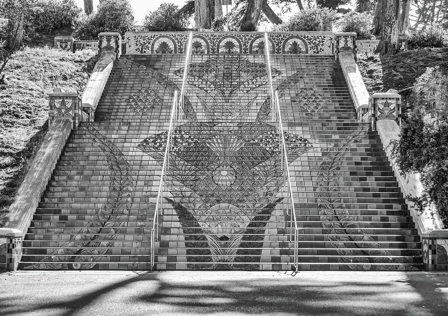 Lincoln Park Steps Ceramic Tile Mosaic San Francisco Black and White Photograph by Shawn OBrien