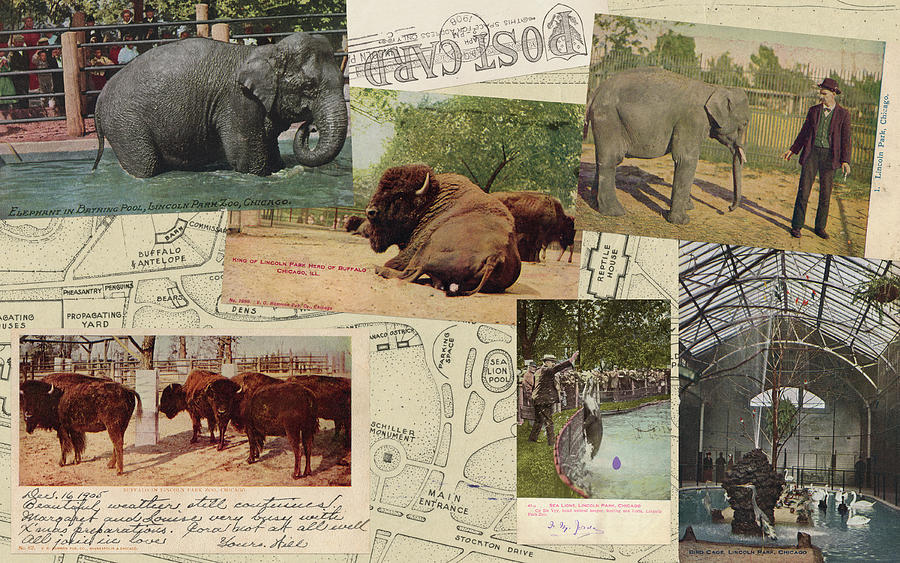 National Park Antique Postcard Collage Framed Print by Kyle Hanson